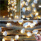 Beach Seashell Decorative String Lights 14.1Ft 40 Warm White LED Waterproof Battery