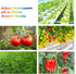 (9oz+9oz), FOLLOWIN pH Up and Down Control Kit Hydroponics pH Tester Calibration Adjuster Buffer Solution Combo