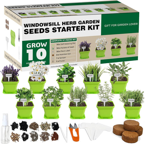 Meekear 10 Herb Seeds Garden Starter Grow Kit with Green Pots, Markers,