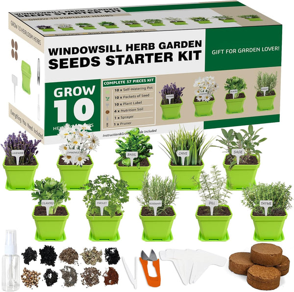 Meekear 10 Herb Seeds Garden Starter Grow Kit with Green Pots, Markers,