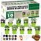 Meekear 10 Herb Seeds Garden Starter Grow Kit with Green Pots, Markers,