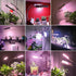 Bulbs Dimmable, Dimming, Smart LED Grow Light for Gooseneck Clamp Light - Sun Mode Auto On/Off Timer, Remote Control