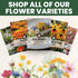 5,000 2026 1 Gourmet Edible Mix Premium Seeds for Planting Fresh Culinary Flowers & Herbs Season Ounce Pouch
