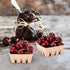 60 Pack 1/2 PARBEE Pulp Fiber Berry Basket, Pint Vented Containers for Strawberry Blueberry Raspberry Grape Cherry