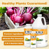 5-10-5 8oz (250ml) Fertilizer for Plants, Great for Root Vegetables, Fruiting Vegetables, and Flowers, Plant Fertilizer