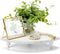 Rustic Wood Corner Counter Shelf, Beaded Farmhouse Tray with Detachable Legs, Bathroom Organizer for Display (White)