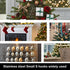 200 Pcs Mini S Hooks 0.8 Inch Stainless Steel Small S Shaped Hooks for DIY Christmas Ornament Jewelry Hanging
