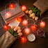 Heart String Lights Plug in, 8.5FT Valentine Lights Indoor & Outdoor, Red