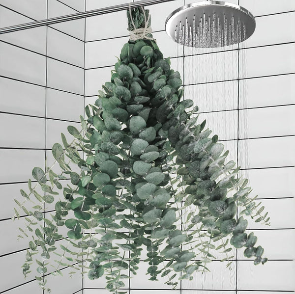 11 PCS Real Dried Eucalyptus for Shower Hanging Decor - 17'' Large Stems from Fresh Leaves for Bathroom
