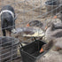 ATKSKYO Bucket(4) Fence Hanging Chicken Feeder for Duck, Piglets, Goat Feeder Poultry Feeding Container for Livestock
