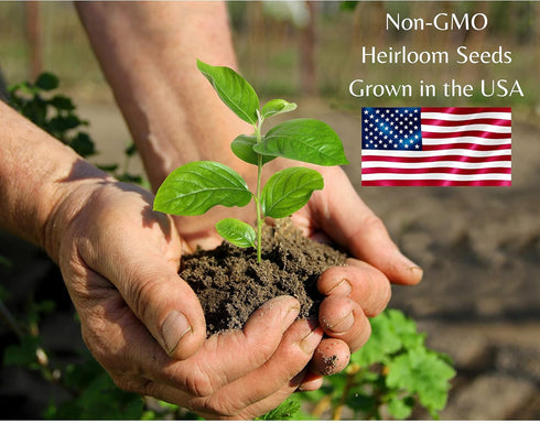 Indoor Herb Garden Starter Kit - Non GMO, Heirloom Herb Seeds - Cilantro, Oregano, Parsley and Basil Seeds for Planting