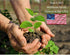 Indoor Herb Garden Starter Kit - Non GMO, Heirloom Herb Seeds - Cilantro, Oregano, Parsley and Basil Seeds for Planting