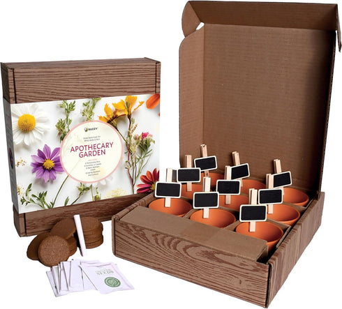9 BUZZY Seeds Apothecary Garden Wellness Kit with Varieties of Non-GMO Flower and Herb Seeds, Terracotta Pots, Growing