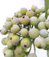 M2cbridge 12pcs) Artificial Berry Stems Christmas Picks Pine Needles Branches Wreath Ornament (Frost Green