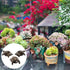 DecoVista 3Pcs Tortoise Resin Pot Decorative Feet, Plant Pot Support Feet for Outdoor, Animals Statue Pot Base Planter