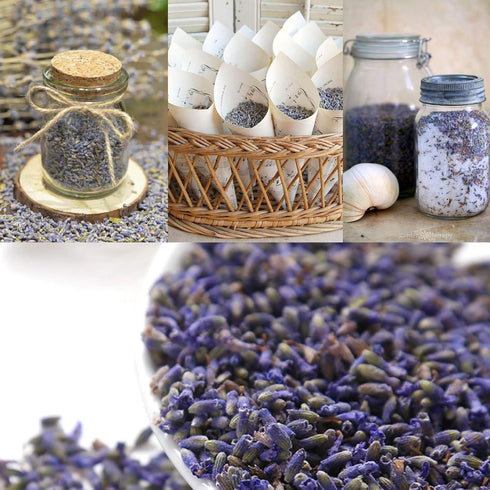 Dried Lavender Flowers - Bulk Wholesale Fragrant Lavender for Wedding Toss, Crafts, Sachets - 1 Pound