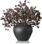 Thiccywoov 6 Pcs Plum Faux Berry Stems Artificial Dusty Sedum Berry Stems Picks