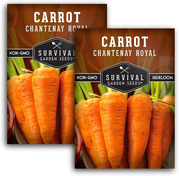 Royal Chantenay Carrot Seeds for Planting Heirloom Short Carrots for Heavy Soil