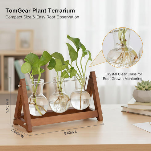 3 Bulb (1, 3-Bulb) Plant Terrarium with Wooden Stand, Glass Vase Metal Holder, Retro Hydroponics Planter