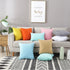 TAOSON Set of 2 100% Cotton Solid Canvas Decorative Throw Pillow Cover - Cushion Covers for Sofa Couch Bed Chair Only