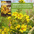 Packet (1) Sow Right Seeds - St Johns Wort Seeds for Planting - Non-GMO Heirloom with Instructions to Plant & Grow an