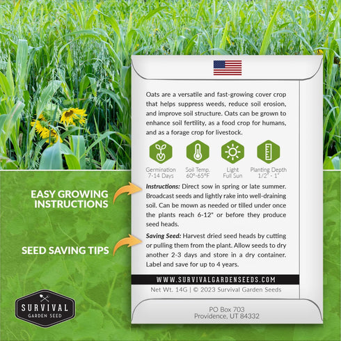 1 Packet Survival Garden Seeds Oats Cover Crop Seed for Planting - with Instructions to Plant & Grow High Yielding Oats