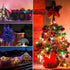 Minetom 2 Pack Clear Christmas Lights - 26.5 Feet, 100 Counts Mini String Lights, Waterproof for Indoor Outdoor