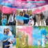 2 Packs, 10ft Large Gender Reveal Smoke Bombs Pink & Blue Biodegradable Powder Spray for Baby Boy or Girl Reveal