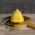 4.5 8 Now Designs Stoneware Rectangle Butter Dish with Lid, Lemon Yellow x