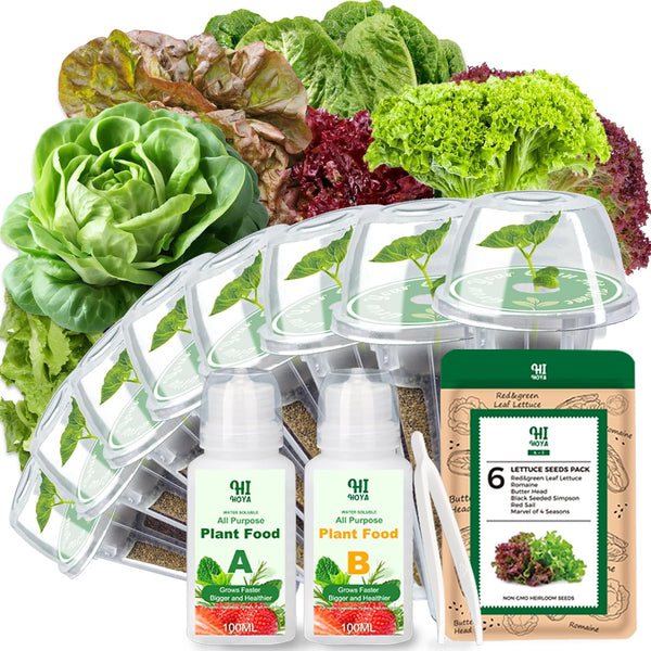 Lettuce Seed Pods for All Hydroponics Growing System, 8 Pods with 600+