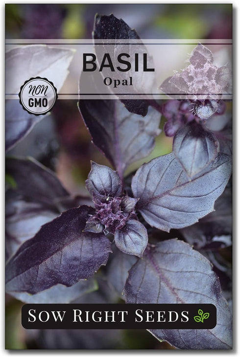 Sow Right Seeds - Opal Basil Seeds for Planting - Non-GMO Heirloom