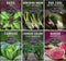 Survival Garden Seeds - Asian Vegetable Collection Seed Vault for Planting -