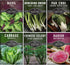 Survival Garden Seeds - Asian Vegetable Collection Seed Vault for Planting -