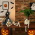 GJFASGF 3 Psc Reading Skeleton Statue Gothic Horror Decor for Bookshelf and Desk Resin Figurine Halloween Decoration