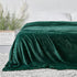 StangH Super Soft Green Fleece Blanket, Fall Flannel Fuzzy Throw for Couch/Office/Dog, Lightweight Microfiber Plush