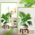 1 Pack 16 Inch 8-18 Inch Wenqik Wood Plant Stand Wooden Plant Pot Holder Mid Century Rattan Flower Boho Rustic Stool