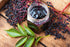 90% Gaea's Blessing Seeds - Elderberry Seeds - American Black Elderberry Heirloom - Non-GMO Seeds with Easy to Follow
