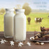 16oz Pack 4 kitchentoolz Square Glass Milk Bottles with Airtight Plastic Lids of | Reusable Milk Containers for Fridge