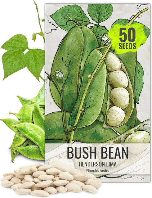 Seed Needs Lima Bean Seeds for Planting Henderson Lima Beans - Non-GMO