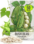 Seed Needs Lima Bean Seeds for Planting Henderson Lima Beans - Non-GMO