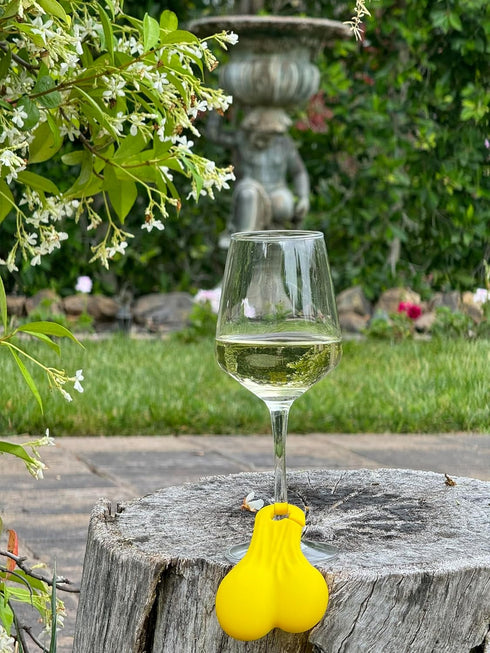Wine Nutz, 6pcs Silicone Wine Glass Charms/Markers for Cocktails, Martinis, Rainbow Funny Gift