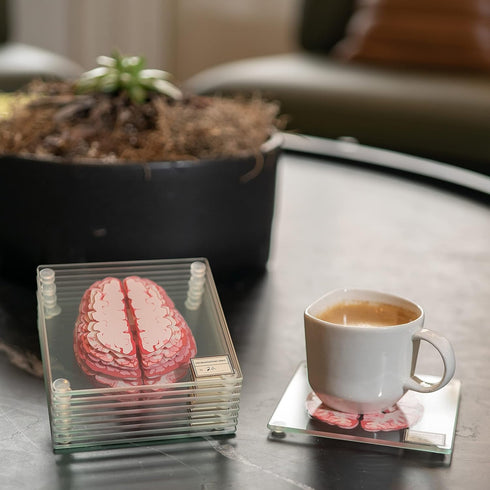 Anatomic Brain Specimen Coasters, Set of 10, Neuroscience Gifts for Medical Students