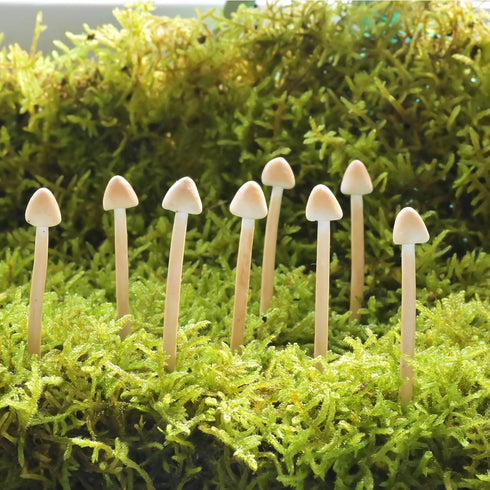 Mumutie 8-Pack Handmade Clay Mushrooms - Mini Fake Mushrooms for DIY Miniature Landscapes
