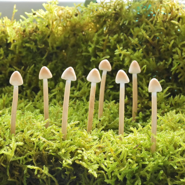 Mumutie 8-Pack Handmade Clay Mushrooms - Mini Fake Mushrooms for DIY Miniature Landscapes
