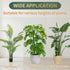Stroller Stakes,3Pcs 17.9In 42.3In Telescoping Plant to Adjustable Monstera Plant Support Orchid Sticks with Clips