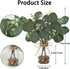 2 Pack 11" Artificial Eucalyptus Stems in Glass Vases, Fake Plants with Faux Water Stones, Small Faux Plants