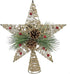 Kurt Adler 11-Inch Natural Star with Pinecones Treetop