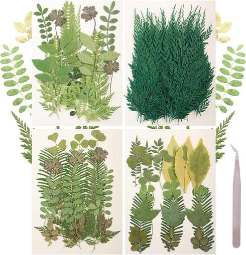 120Pcs Dried Pressed Leaves Flowers - Natural Dry Leaves Bulk Mixed Colorful Herbs Kit for Crafts
