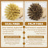 4 Pack Set, Bamboo Dish Brush Natural Palm Dish Scrubber for Pots and Vegetables, Sisal Bristle Bamboo Scrub Brush