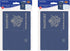 Beistle Set of 8 Around The World Passports, Global Adventure Travel Party Favors
